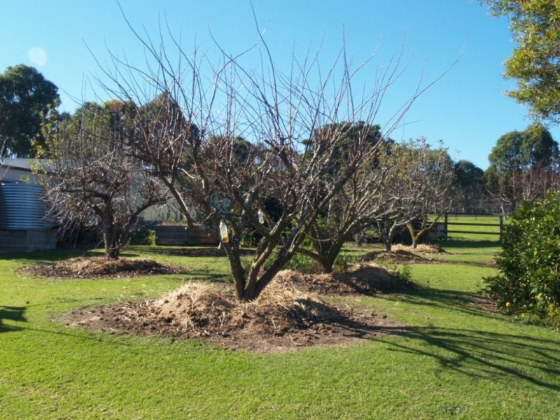 100 Yowaka River Road, Greigs Flat NSW 2549