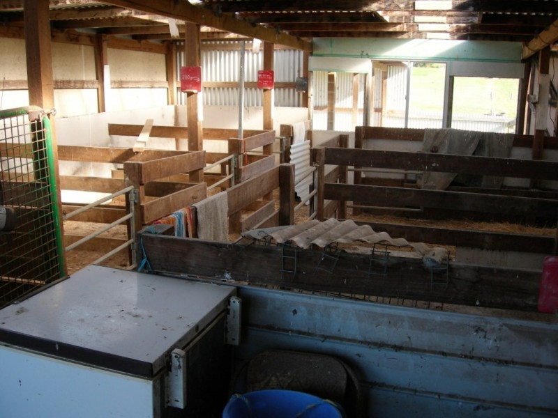 100 Yowaka River Road, Greigs Flat NSW 2549