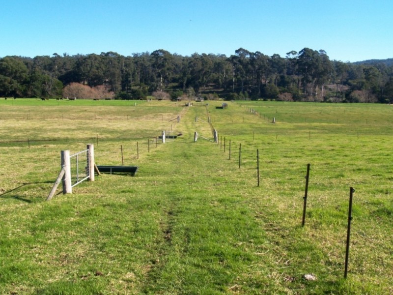 100 Yowaka River Road, Greigs Flat NSW 2549