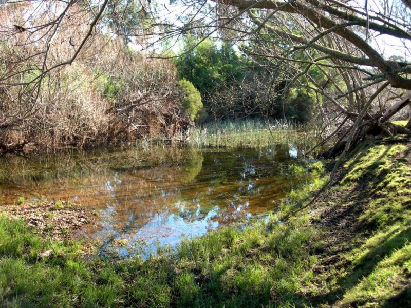 100 Yowaka River Road, Greigs Flat NSW 2549