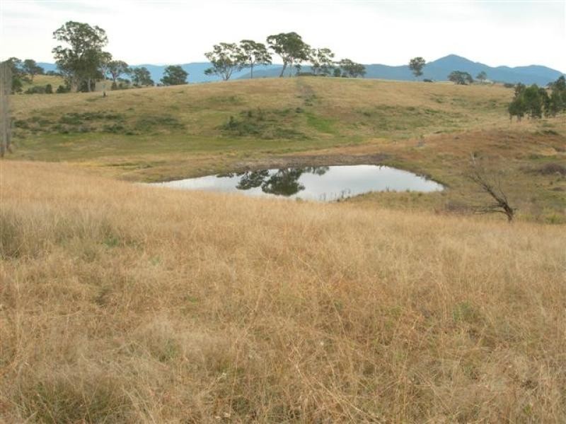 Lots 2 and 3 Buckajo Road, Bega NSW 2550
