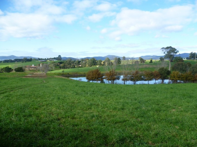 966 Candelo Wolumla Road, Toothdale NSW 2550