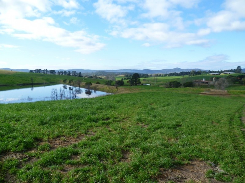 966 Candelo Wolumla Road, Toothdale NSW 2550