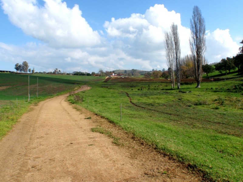 966 Candelo Wolumla Road, Toothdale NSW 2550