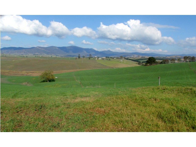 966 Candelo Wolumla Road, Toothdale NSW 2550