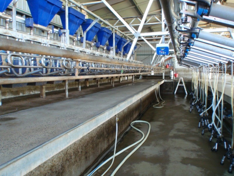 966 Candelo Wolumla Road, Toothdale NSW 2550