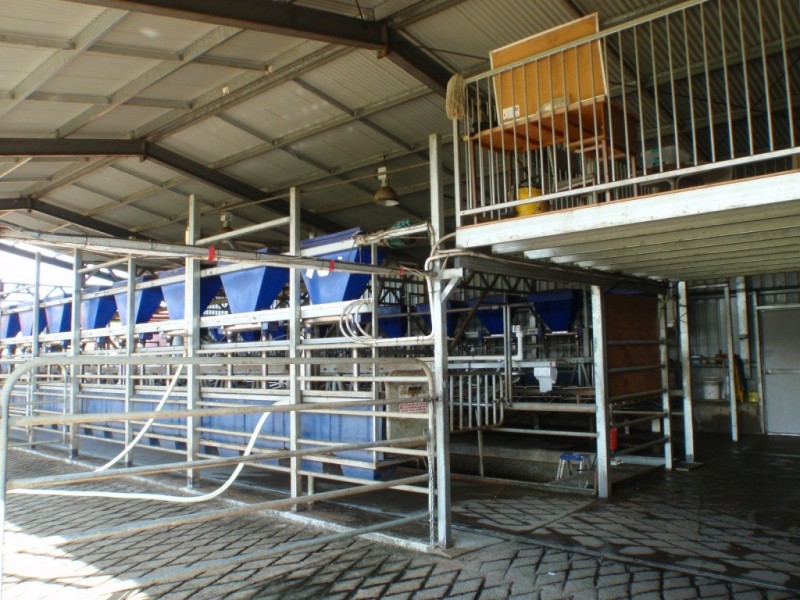 966 Candelo Wolumla Road, Toothdale NSW 2550