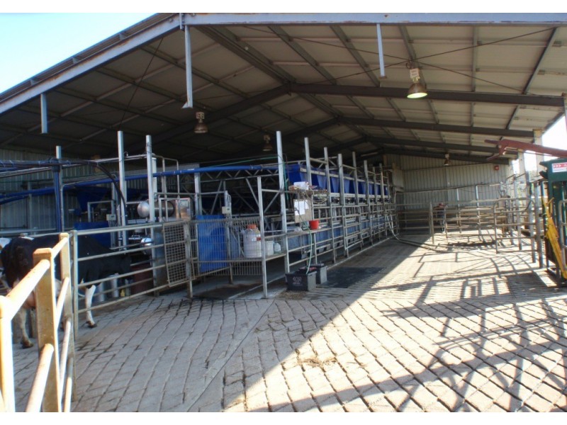 966 Candelo Wolumla Road, Toothdale NSW 2550