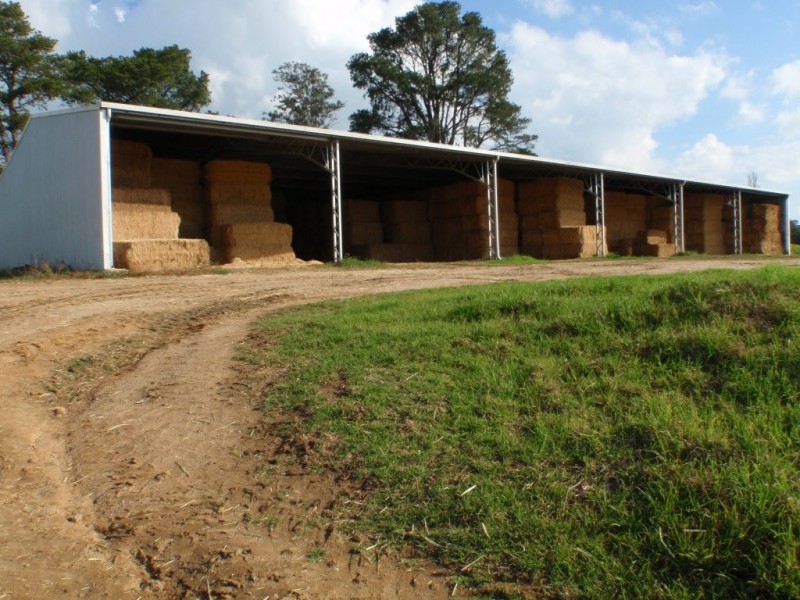 966 Candelo Wolumla Road, Toothdale NSW 2550