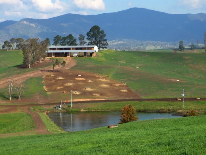 966 Candelo Wolumla Road, Toothdale NSW 2550