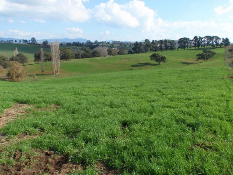 966 Candelo Wolumla Road, Toothdale NSW 2550