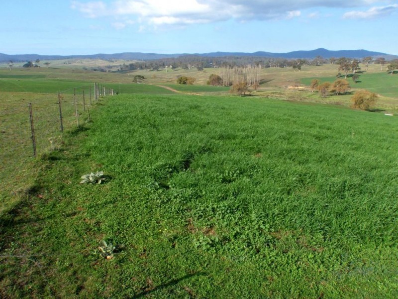 966 Candelo Wolumla Road, Toothdale NSW 2550