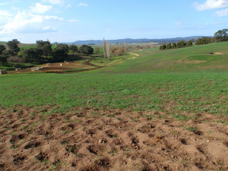 966 Candelo Wolumla Road, Toothdale NSW 2550