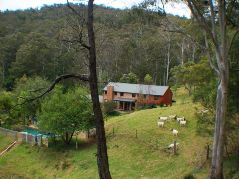 158 Ferndale Lane, Wolumla NSW 2550