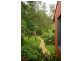 158 Ferndale Lane, Wolumla NSW 2550