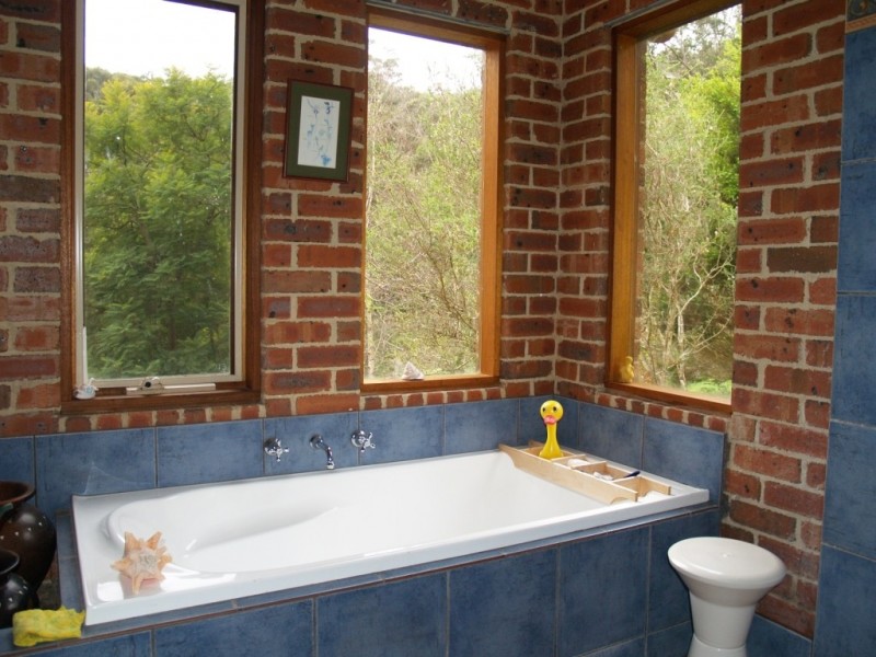 158 Ferndale Lane, Wolumla NSW 2550