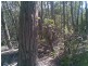 139 Bourkes Road, Yowrie NSW 2550