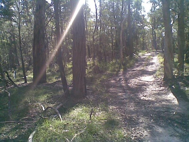 139 Bourkes Road, Yowrie NSW 2550