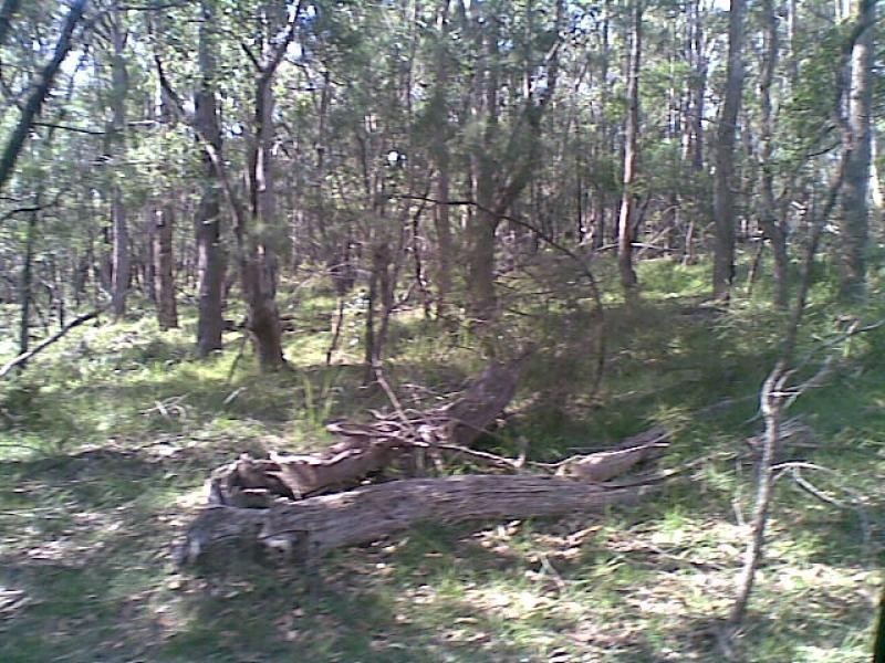 139 Bourkes Road, Yowrie NSW 2550