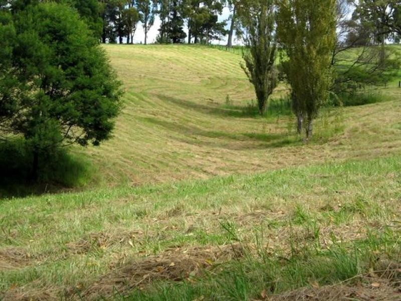 92 Israels Road, Verona NSW 2550