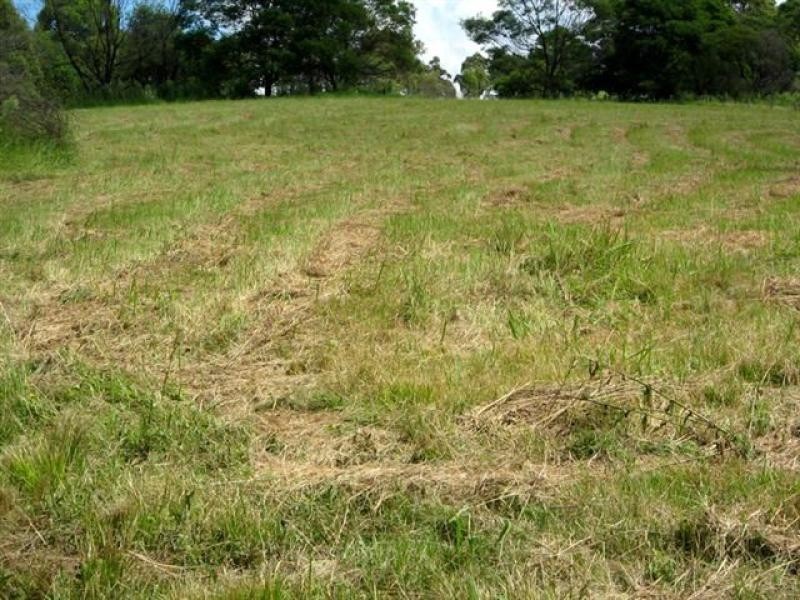 92 Israels Road, Verona NSW 2550