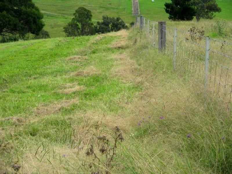 92 Israels Road, Verona NSW 2550