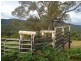 139 Bourkes Road, Yowrie NSW 2550