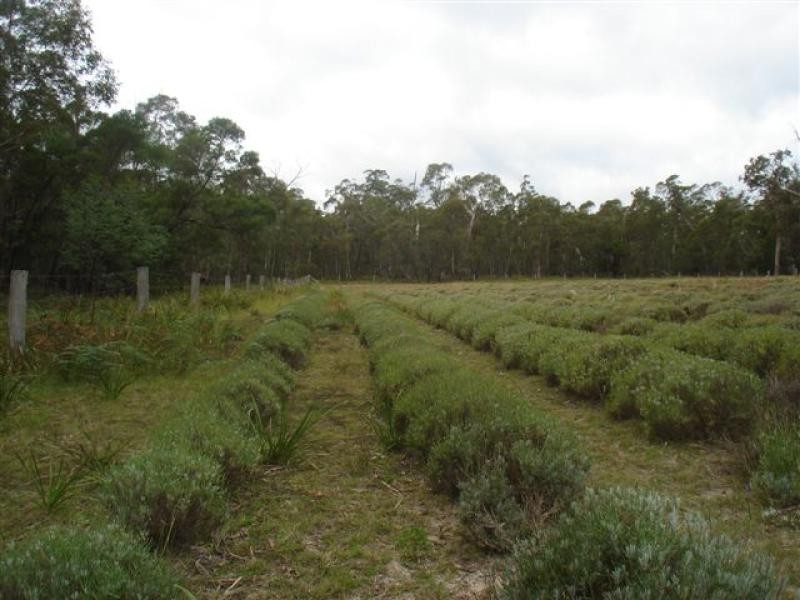 139 Bourkes Road, Yowrie NSW 2550