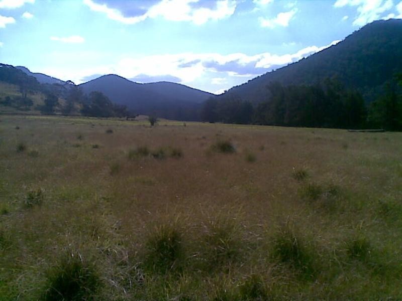 139 Bourkes Road, Yowrie NSW 2550