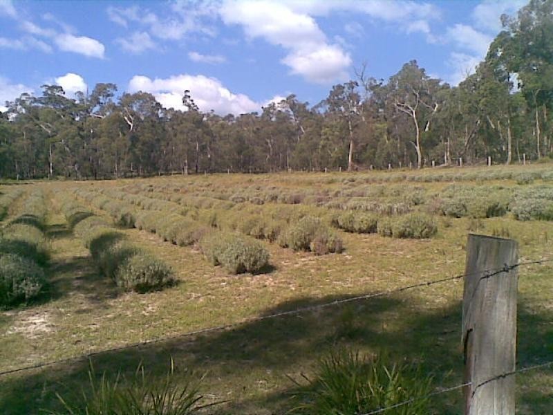 139 Bourkes Road, Yowrie NSW 2550
