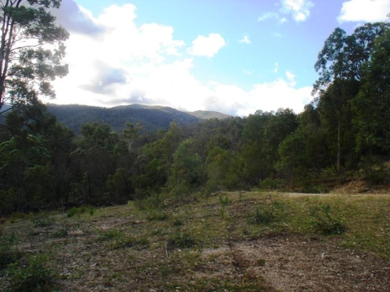 1400 Upper Brogo Road, Brogo NSW 2550