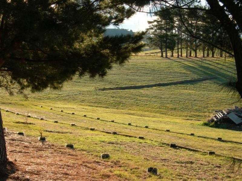 Lot 7/ Ramsays Road, Candelo NSW 2550