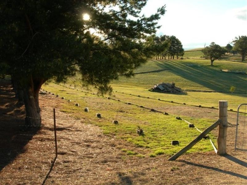 Lot 7/ Ramsays Road, Candelo NSW 2550