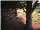 Lot 7/ Ramsays Road, Candelo NSW 2550