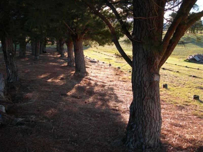 Lot 7/ Ramsays Road, Candelo NSW 2550