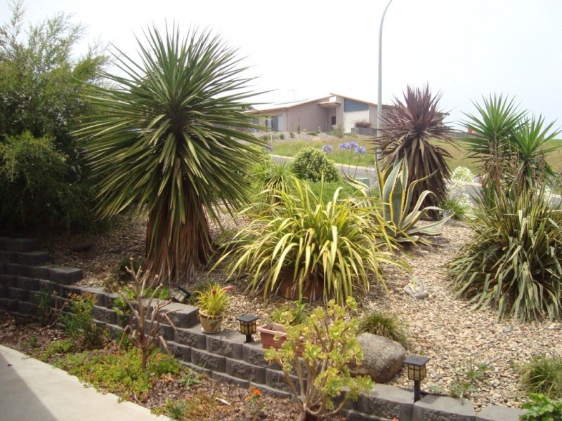 12 Koma Circuit, Bega NSW 2550