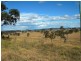 - Whymans Rd, Bega NSW 2550