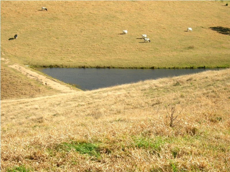 - Whymans Rd, Bega NSW 2550