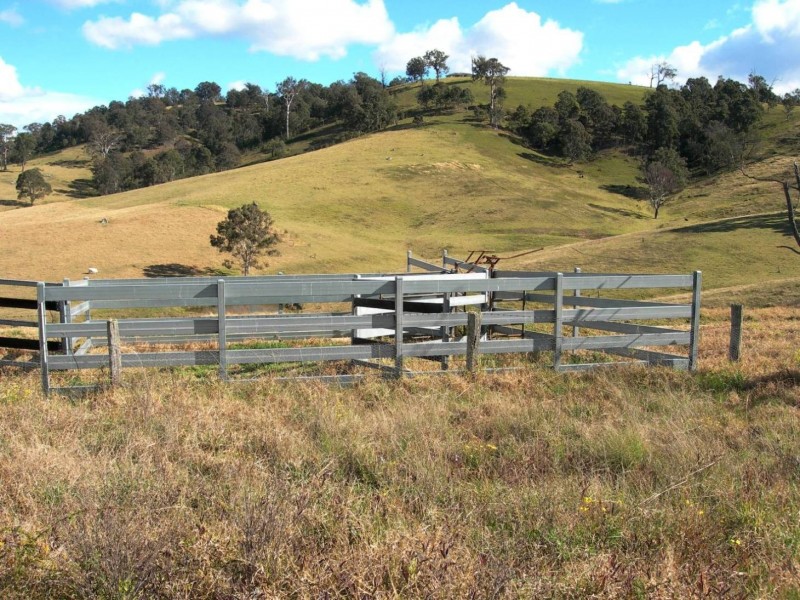 - Whymans Rd, Bega NSW 2550