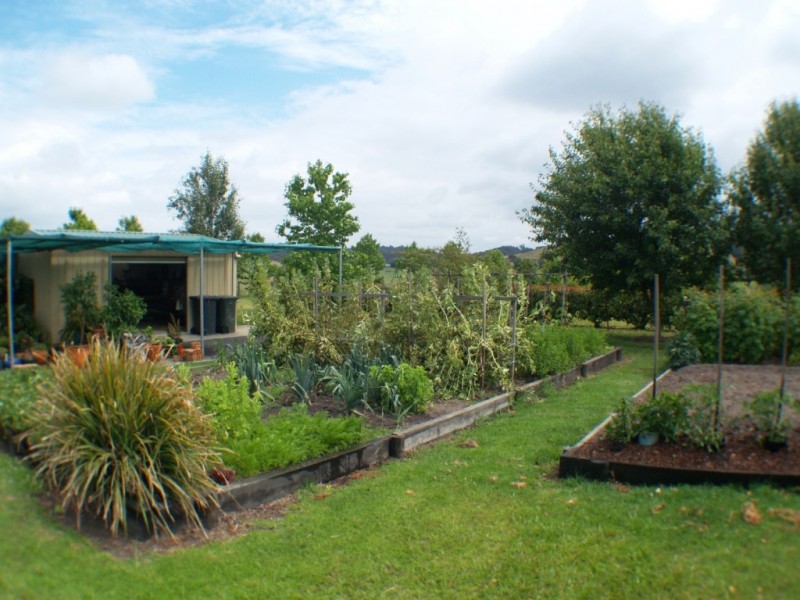 36 Heron Crescent, Kalaru NSW 2550