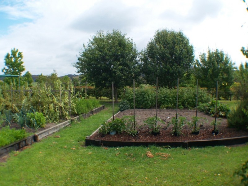 36 Heron Crescent, Kalaru NSW 2550