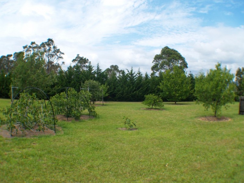 36 Heron Crescent, Kalaru NSW 2550