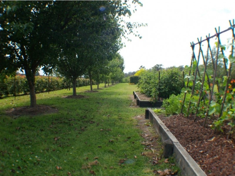 36 Heron Crescent, Kalaru NSW 2550