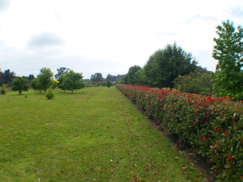 36 Heron Crescent, Kalaru NSW 2550