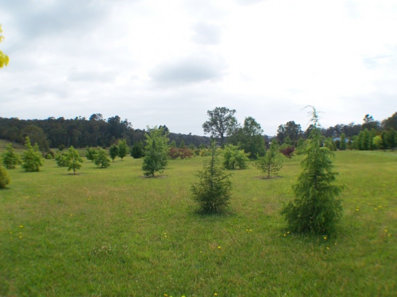 36 Heron Crescent, Kalaru NSW 2550