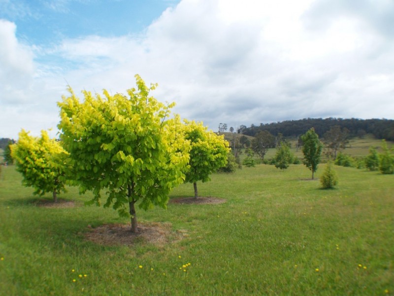 36 Heron Crescent, Kalaru NSW 2550