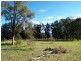 525 Candelo Wolumla Rd, Wolumla NSW 2550