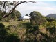 1900 Myrtle Mtn Rd, Candelo NSW 2550