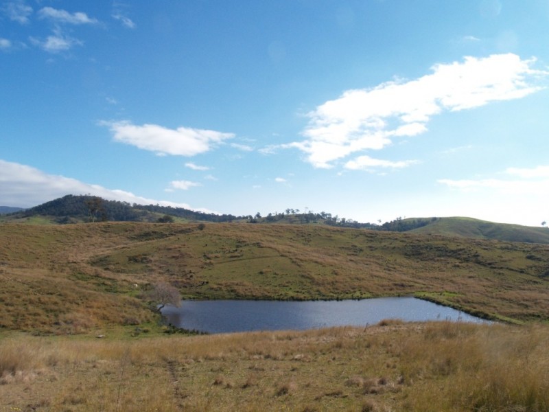 1900 Myrtle Mtn Rd, Candelo NSW 2550