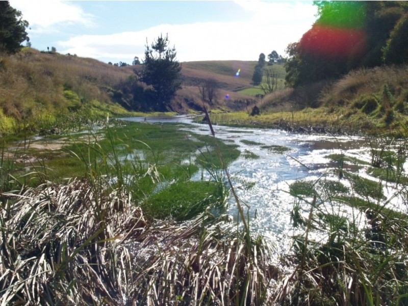 1900 Myrtle Mtn Rd, Candelo NSW 2550